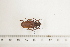  ( - BC-TB7465)  @11 [ ] Copyright (2010) Thierry Bouyer Research Collection of Alain Drumont