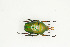  ( - BC-TB9044)  @14 [ ] Copyright (2012) Thierry Bouyer Research Collection of Thierry Bouyer