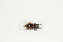  ( - BC-TB9128)  @11 [ ] Copyright (2012) Thierry Bouyer Research Collection of Thierry Bouyer