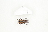  ( - BC-TB8285)  @12 [ ] Copyright (2011) Thierry Bouyer Research Collection of Thierry Bouyer