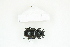  ( - BC-TB8293)  @11 [ ] Copyright (2011) Thierry Bouyer Research Collection of Thierry Bouyer