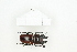  ( - BC-TB8312)  @13 [ ] Copyright (2011) Thierry Bouyer Research Collection of Thierry Bouyer