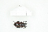  ( - BC-TB8313)  @13 [ ] Copyright (2011) Thierry Bouyer Research Collection of Thierry Bouyer