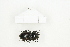 ( - BC-TB8316)  @11 [ ] Copyright (2011) Thierry Bouyer Research Collection of Thierry Bouyer