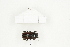  ( - BC-TB8318)  @13 [ ] Copyright (2011) Thierry Bouyer Research Collection of Thierry Bouyer