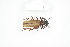  ( - BC-TB8363)  @13 [ ] Copyright (2011) Thierry Bouyer Research Collection of Thierry Bouyer