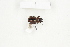  ( - BC-TB8367)  @13 [ ] Copyright (2011) Thierry Bouyer Research Collection of Thierry Bouyer