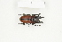  ( - BC-TB8368)  @13 [ ] Copyright (2011) Thierry Bouyer Research Collection of Thierry Bouyer