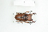  ( - BC-TB8370)  @14 [ ] Copyright (2011) Thierry Bouyer Research Collection of Thierry Bouyer