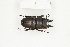  ( - BC-TB8372)  @13 [ ] Copyright (2011) Thierry Bouyer Research Collection of Thierry Bouyer