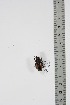  ( - BC-TB4910)  @11 [ ] Copyright (2010) Unspecified Research Collection of Thierry Bouyer