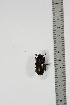  ( - BC-TB4951)  @12 [ ] Copyright (2010) Unspecified Research Collection of Thierry Bouyer
