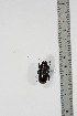  ( - BC-TB4954)  @11 [ ] Copyright (2010) Unspecified Research Collection of Thierry Bouyer