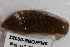  ( - 09PROBE-00282)  @13 [ ] CreativeCommons - Attribution (2009) Unspecified Centre for Biodiversity Genomics