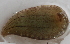  ( - 09PROBE-00283)  @14 [ ] CreativeCommons - Attribution (2009) Unspecified Centre for Biodiversity Genomics