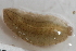  ( - 09PROBE-00285)  @13 [ ] CreativeCommons - Attribution (2009) Unspecified Centre for Biodiversity Genomics