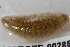  ( - 09PROBE-00285)  @13 [ ] CreativeCommons - Attribution (2009) Unspecified Centre for Biodiversity Genomics