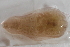  ( - 09PROBE-00294)  @13 [ ] CreativeCommons - Attribution (2009) Unspecified Centre for Biodiversity Genomics