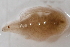  ( - 09PROBE-00294)  @13 [ ] CreativeCommons - Attribution (2009) Unspecified Centre for Biodiversity Genomics