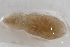  ( - 09PROBE-00295)  @13 [ ] CreativeCommons - Attribution (2009) Unspecified Centre for Biodiversity Genomics