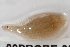  ( - 09PROBE-00295)  @13 [ ] CreativeCommons - Attribution (2009) Unspecified Centre for Biodiversity Genomics