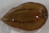  ( - 09PROBE-00312)  @13 [ ] CreativeCommons - Attribution (2009) Unspecified Centre for Biodiversity Genomics