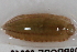  ( - 09PROBE-00313)  @13 [ ] CreativeCommons - Attribution (2009) Unspecified Centre for Biodiversity Genomics