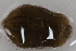  ( - 09PROBE-00409)  @13 [ ] CreativeCommons - Attribution (2009) Unspecified Centre for Biodiversity Genomics