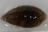  ( - 09PROBE-00410)  @13 [ ] CreativeCommons - Attribution (2009) Unspecified Centre for Biodiversity Genomics