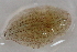  ( - 09PROBE-01996)  @13 [ ] CreativeCommons - Attribution (2009) Unspecified Centre for Biodiversity Genomics