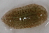  ( - 09PROBE-01997)  @13 [ ] CreativeCommons - Attribution (2009) Unspecified Centre for Biodiversity Genomics