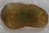  ( - 09PROBE-01997)  @13 [ ] CreativeCommons - Attribution (2009) Unspecified Centre for Biodiversity Genomics