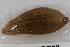  ( - 09PROBE-01998)  @13 [ ] CreativeCommons - Attribution (2009) Unspecified Centre for Biodiversity Genomics