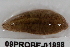  ( - 09PROBE-01998)  @13 [ ] CreativeCommons - Attribution (2009) Unspecified Centre for Biodiversity Genomics