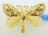  (Nesara amisena - USNM ENT 00808939)  @11 [ ] Unspecified (default): All Rights Reserved  Unspecified Unspecified