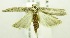  ( - USNM ENT 00719512)  @13 [ ] Unspecified (default): All Rights Reserved  Unspecified Unspecified
