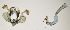  ( - USNM ENT 00719081)  @12 [ ] Unspecified (default): All Rights Reserved  Unspecified Unspecified