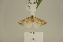  ( - USNM ENT 00475783)  @13 [ ] Unspecified (default): All Rights Reserved  Unspecified Unspecified