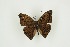 ( - BC-TB9378)  @12 [ ] Copyright (2012) Thierry Bouyer Research Collection of Thierry Bouyer