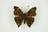  ( - BC-TB9379)  @12 [ ] Copyright (2012) Thierry Bouyer Research Collection of Thierry Bouyer