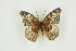  ( - BC-TB9391)  @11 [ ] Copyright (2012) Thierry Bouyer Research Collection of Thierry Bouyer