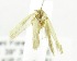  ( - USNM ENT 00808090)  @11 [ ] Unspecified (default): All Rights Reserved  Unspecified Unspecified