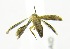  ( - USNM ENT 00808097)  @11 [ ] Unspecified (default): All Rights Reserved  Unspecified Unspecified