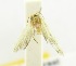  ( - USNM ENT 00808106)  @12 [ ] Unspecified (default): All Rights Reserved  Unspecified Unspecified