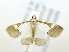  ( - USNM ENT 00808980)  @12 [ ] Unspecified (default): All Rights Reserved  Unspecified Unspecified