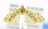  ( - USNM ENT 00808991)  @12 [ ] Unspecified (default): All Rights Reserved  Unspecified Unspecified