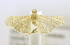  ( - USNM ENT 00980008)  @12 [ ] Unspecified (default): All Rights Reserved  Unspecified Unspecified