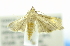  ( - USNM ENT 00980009)  @12 [ ] Unspecified (default): All Rights Reserved  Unspecified Unspecified