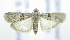  ( - USNM ENT 00980039)  @12 [ ] Unspecified (default): All Rights Reserved  Unspecified Unspecified