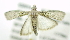  ( - USNM ENT 00980040)  @12 [ ] Unspecified (default): All Rights Reserved  Unspecified Unspecified